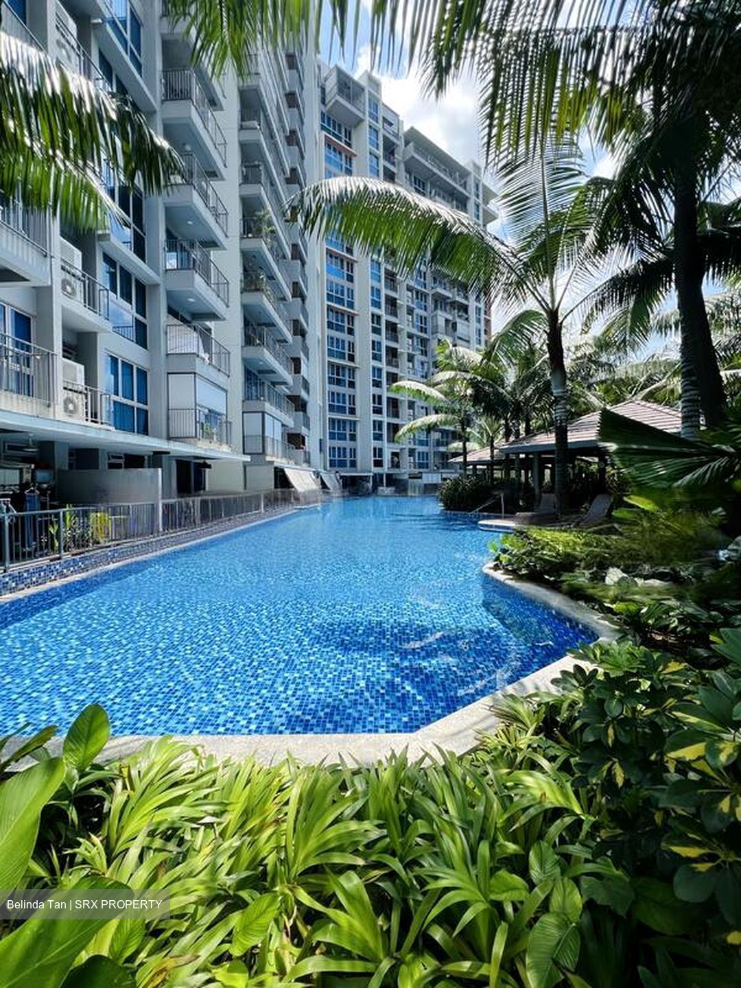 Q Bay Residences (D18), Condominium #458925181